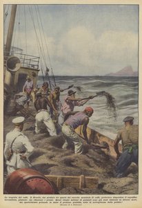 La tragédie du café
